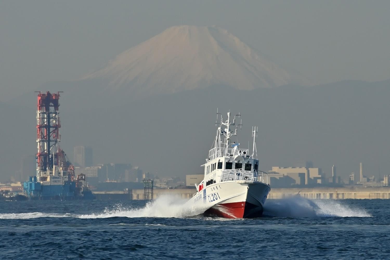 CL201 ひめぎく